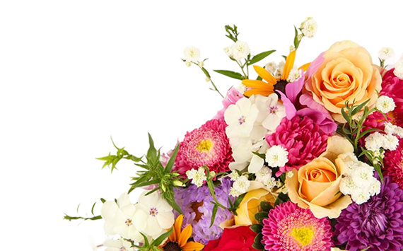 flowers-image